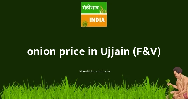 onion price